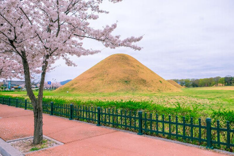 A tomb in the Daereungwon Tomb Complex during spring with cherry blossoms