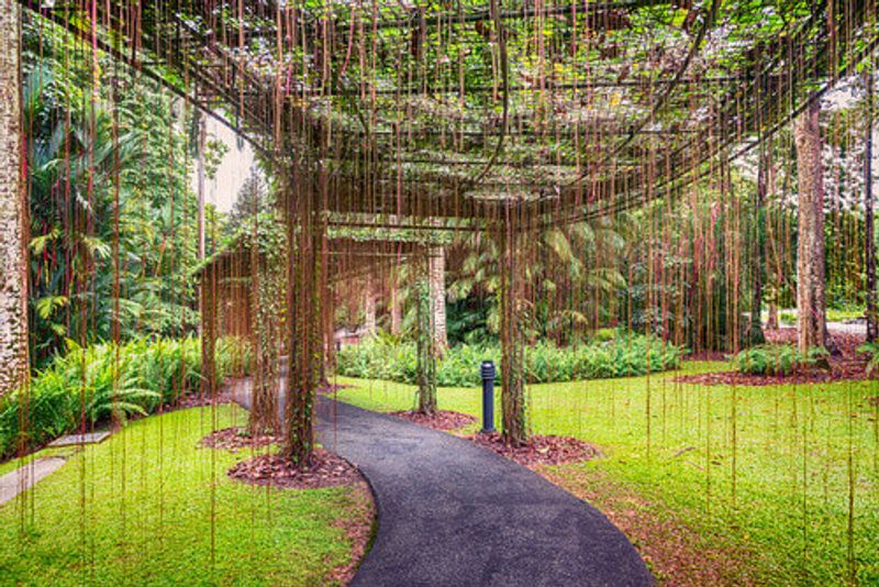 Singapore Botanic Gardens is full of pretty walkways