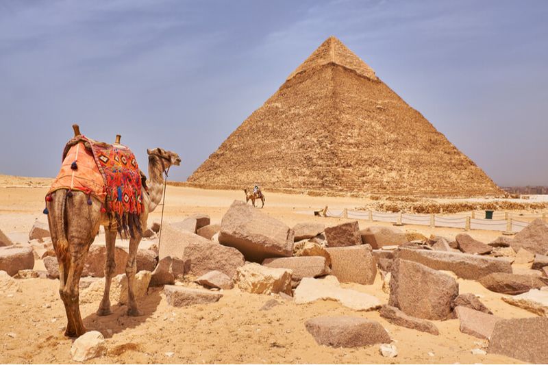 The Pyramid of Khafre with a camel