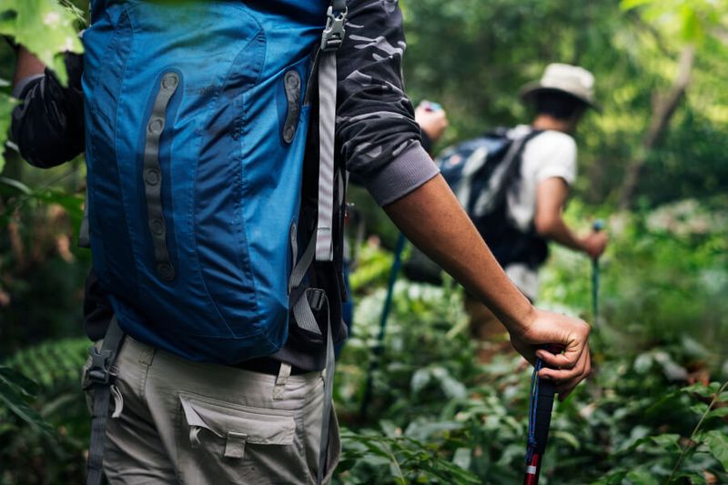 Tourists and locals trek through a forest in Sri Lanka.