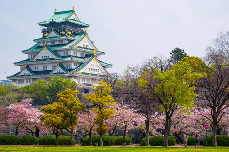 Cherry blossoms bloom around the Osaka Castle.