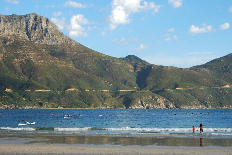 A canoe race at Hout Bay Beach in Cape Town.