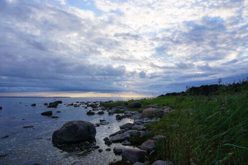 A rocky beach at dawn in Laheema National Park.