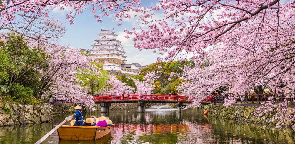 group tours of japan