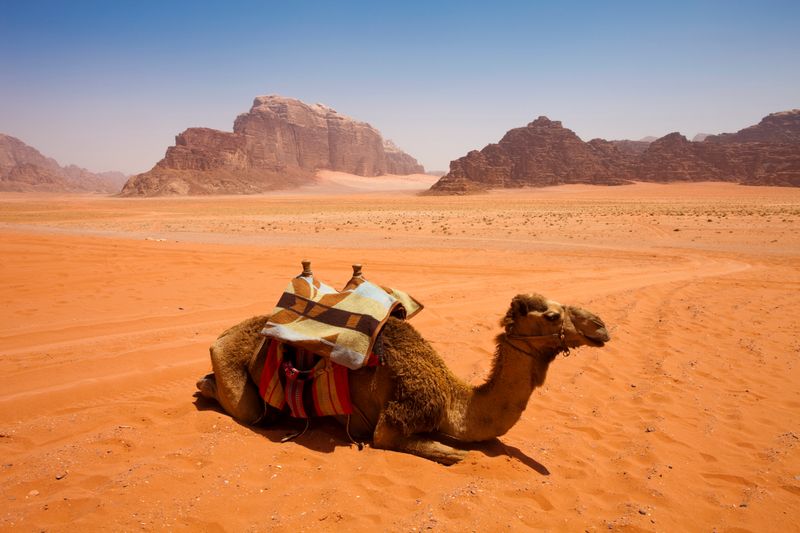 Explore Jordan’s ancient sites in comfort with Inspiring Vacations’ expert-guided tours
