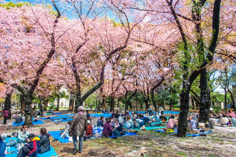 The picturesque Ueno Park in Tokyo, Japan.