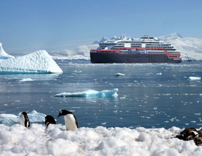 Penguins in Antarctica.