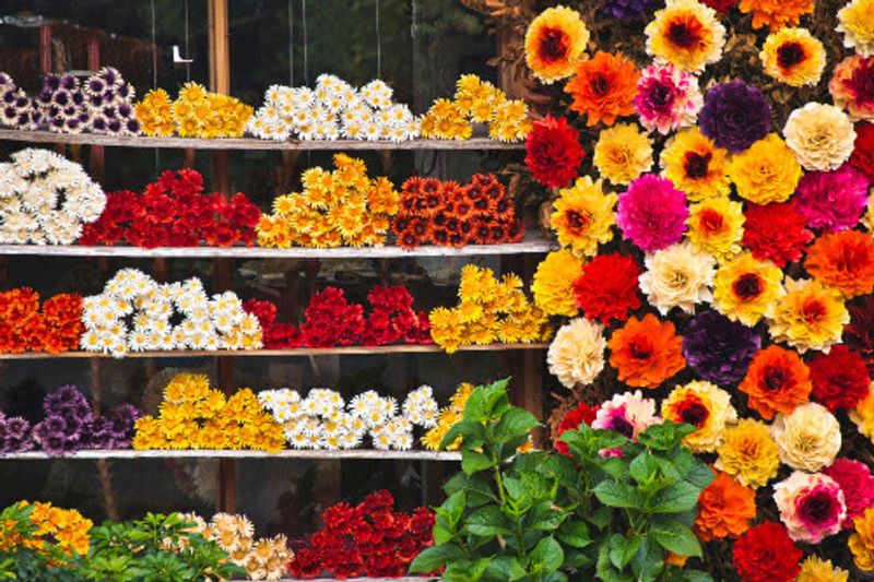 Artificial flowers hand crafted from painted wood shavings in Pucon, Chile.