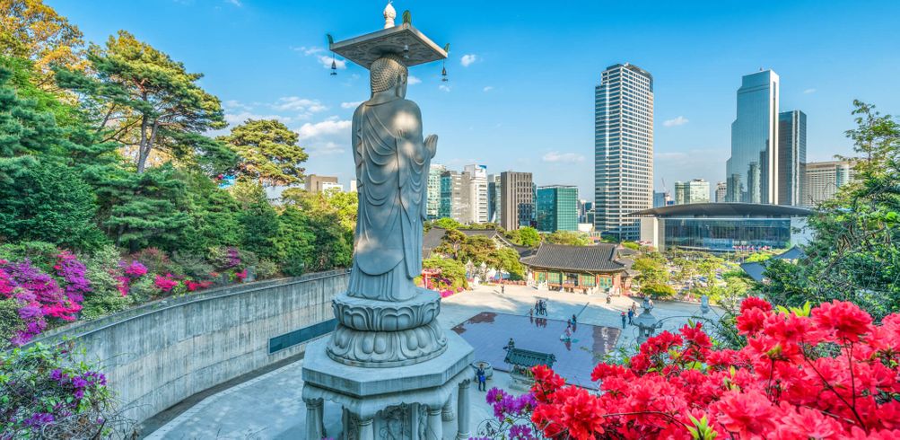 When is the best time to visit South Korea - Inspiring Vacations