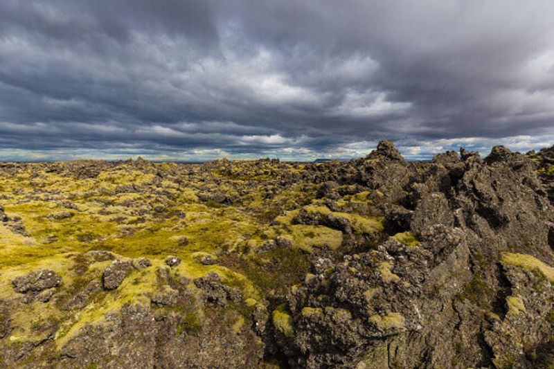 The mossy Berserkjahraun Lava fields in the Snaefellsnes Peninsula.