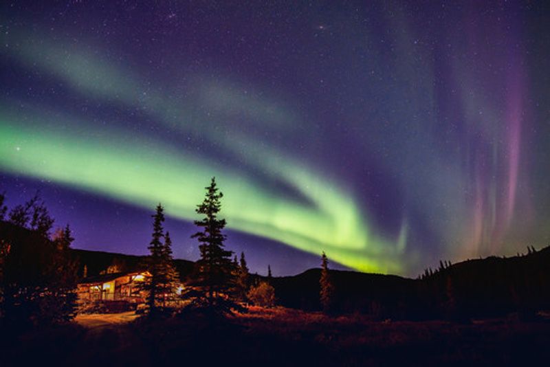 Northern Lights on display in Fairbanks.