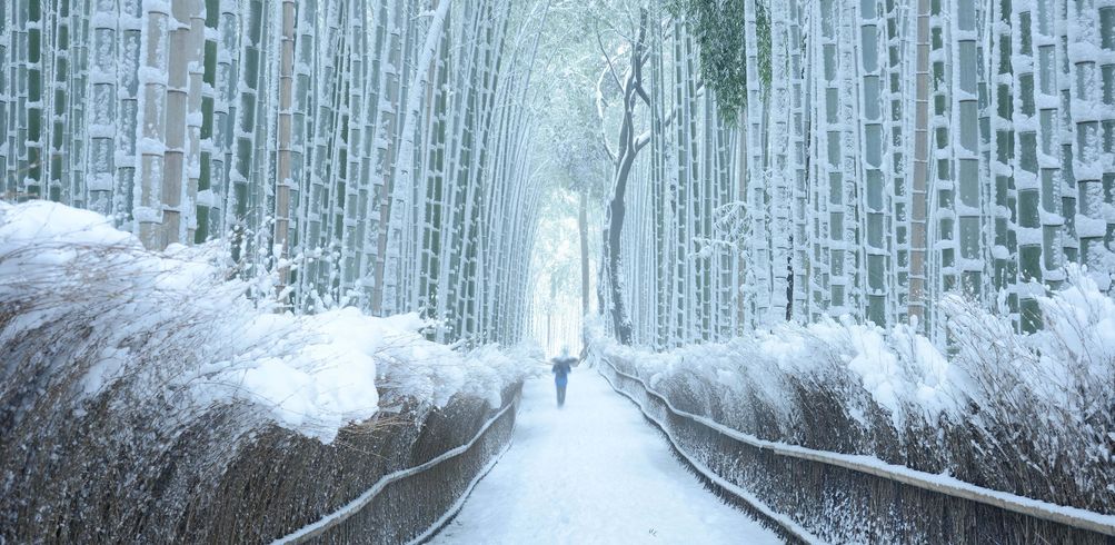 15 Day Winter Japan - Inspiring Vacations