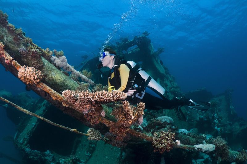 Female diver swimming over a shipwreck in the Red Sea
