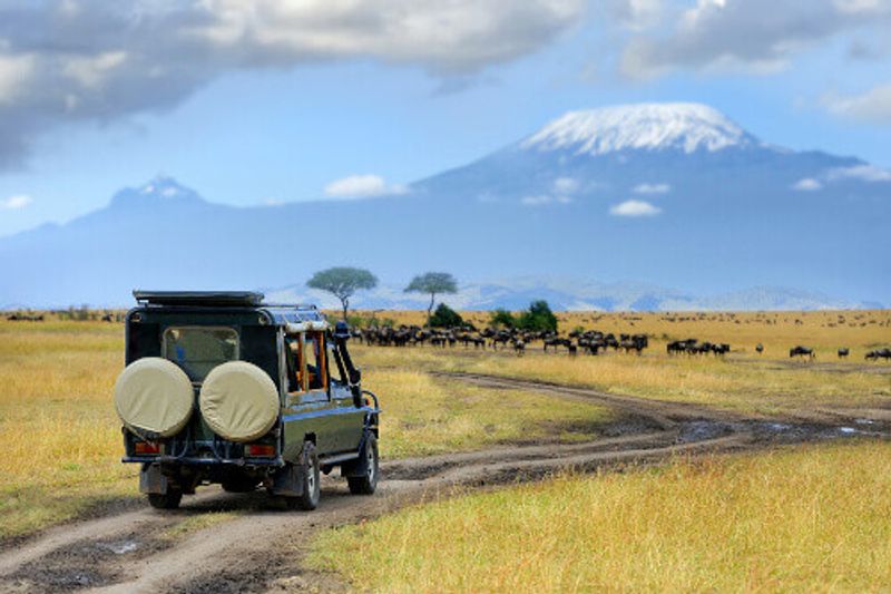 A safari game drive with wild animals in view, Masai Mara Reserve.