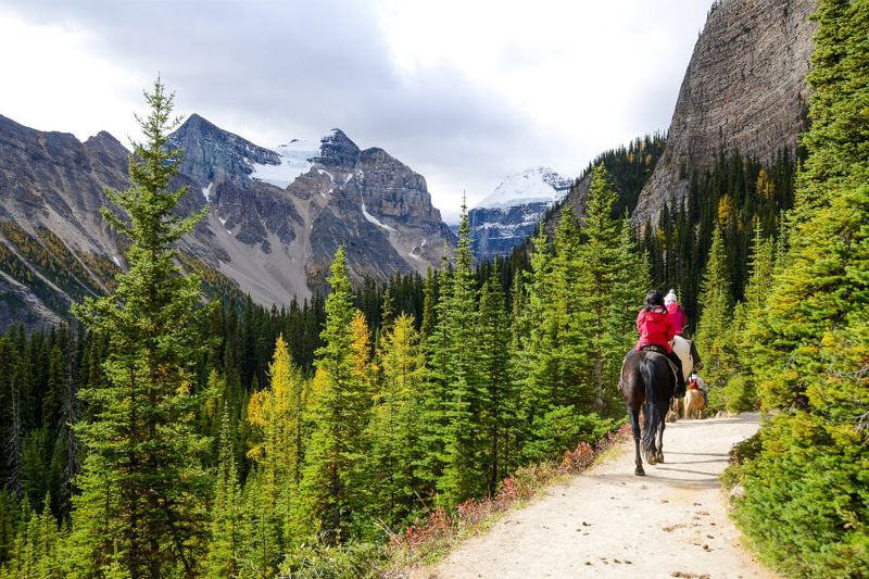 Visitors enjoy stunning views while horseback riding on the Lake Afnes Trail in Banff National Park.