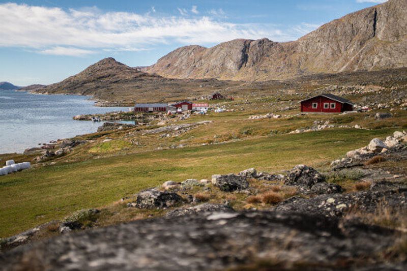 A quiet day in Kangerluaarsorujuk, a sheep herders place.