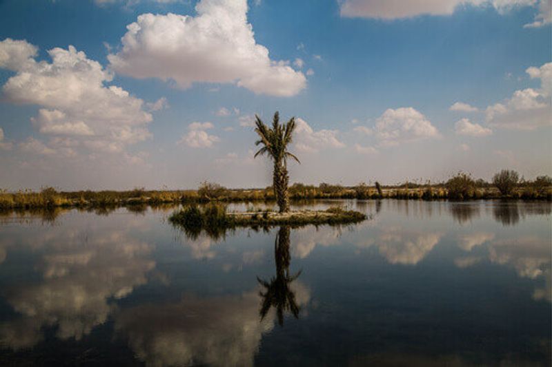 Azraq Wetland Reserve in Jordan