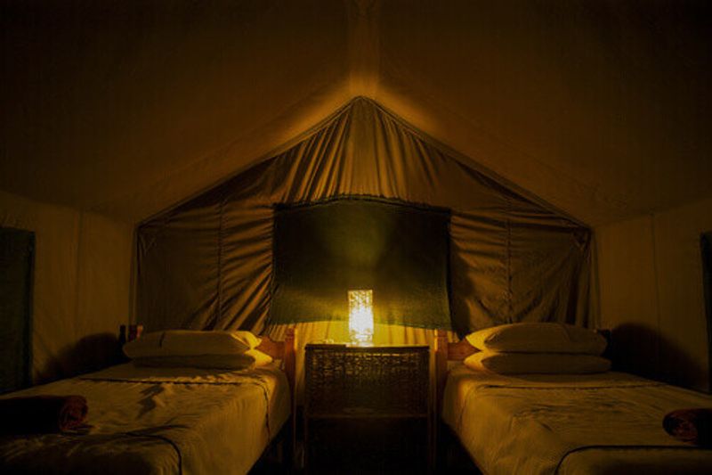 Interior of tent lodge with two beds set up at night during a safari in Maun.