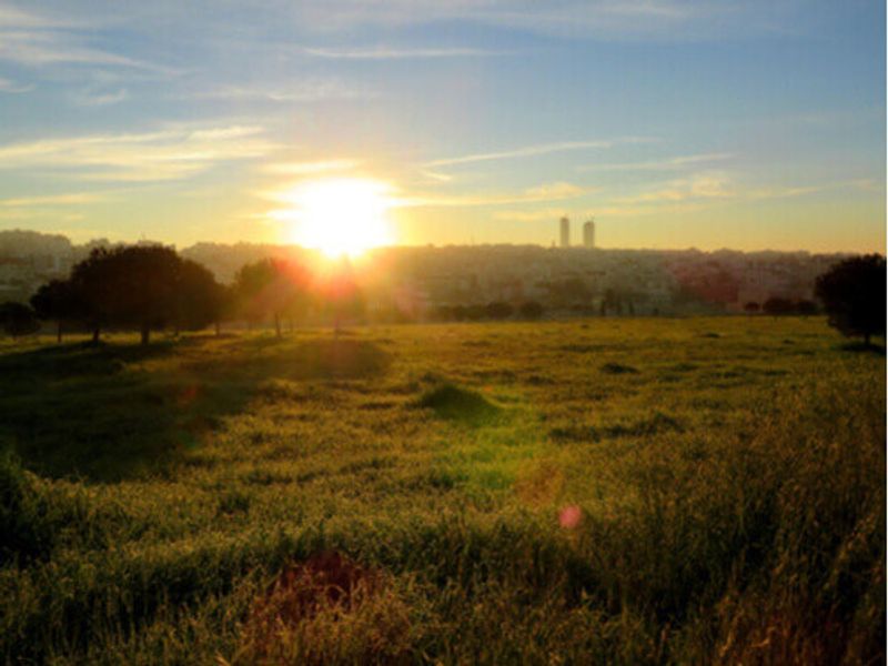 The picturesque landscape of King Hussein Business Park.