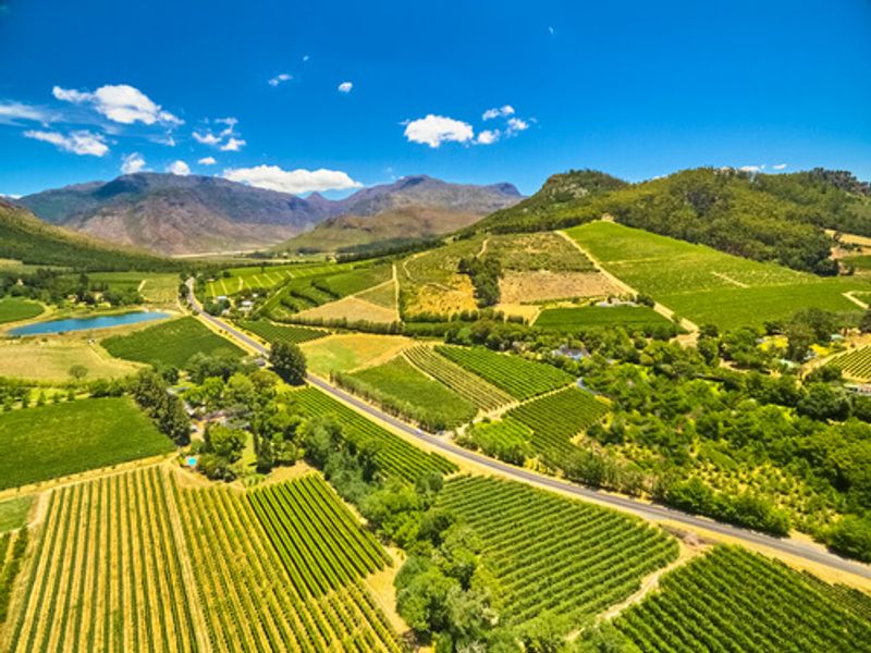 The Stellenbosch Vineyards, South Africa are a great place to taste local produce.