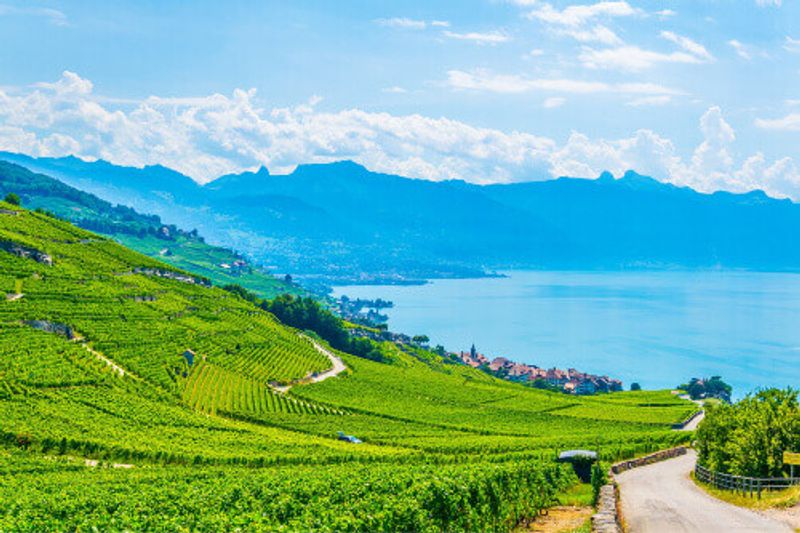 The landscape of the beautiful Lavaux wine regione near Lausanne.