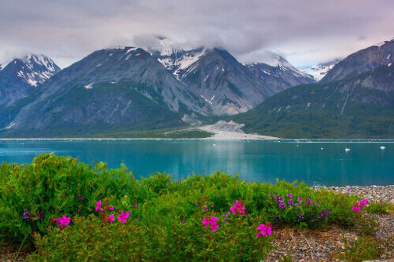 A landscape view of the Glacier Bay National Park.