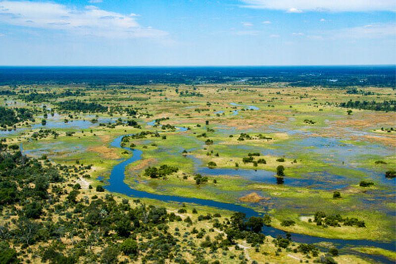 The stunning landscape of the Okavango Delta.