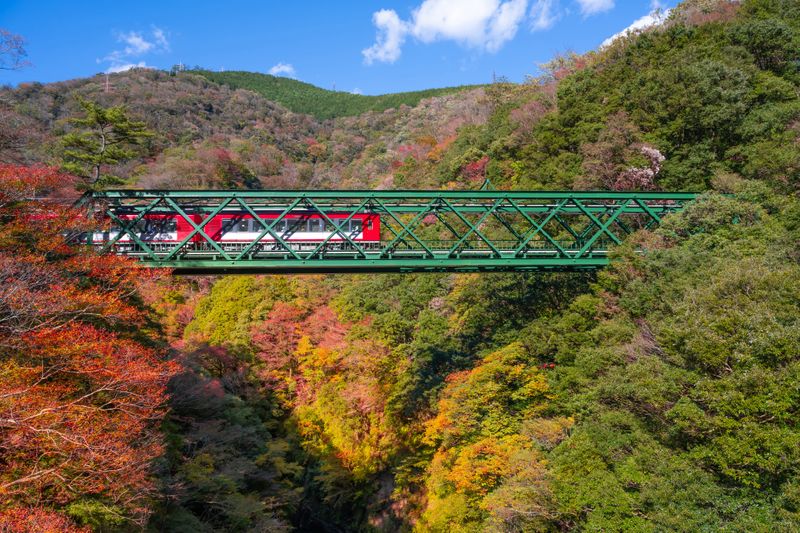 Hakone Tozan Railway