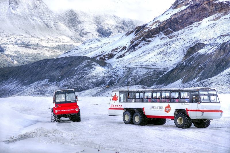 Heavy-duty Terra Buses transport people across the glacier.