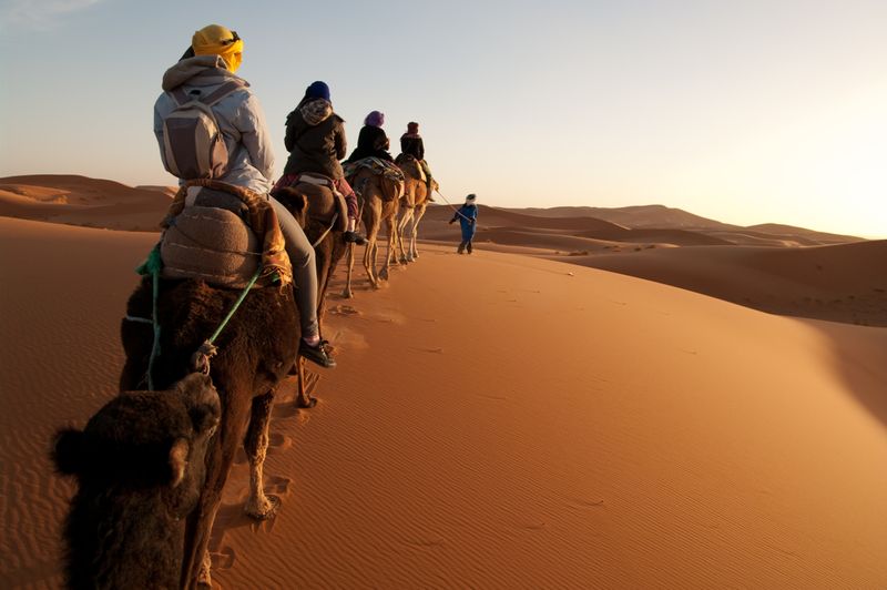 Camel caravan carrying tourists across golden Sahara dunes on a Morocco desert tour