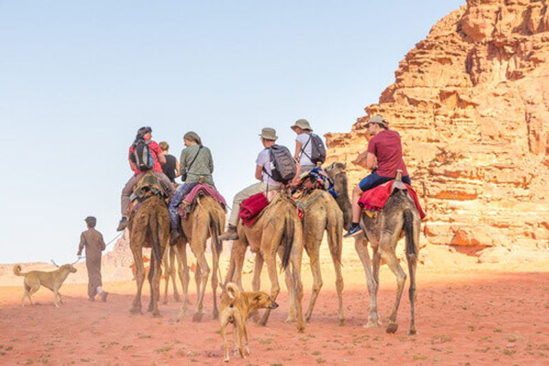 Tourists riding on camels riding in the Wadi Rum desert in Jordan.