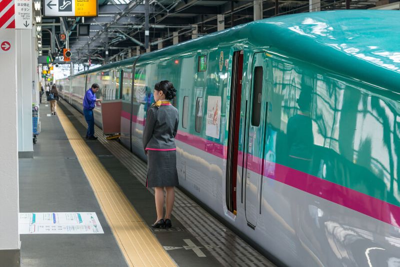 An E5 series Japanese bullet train