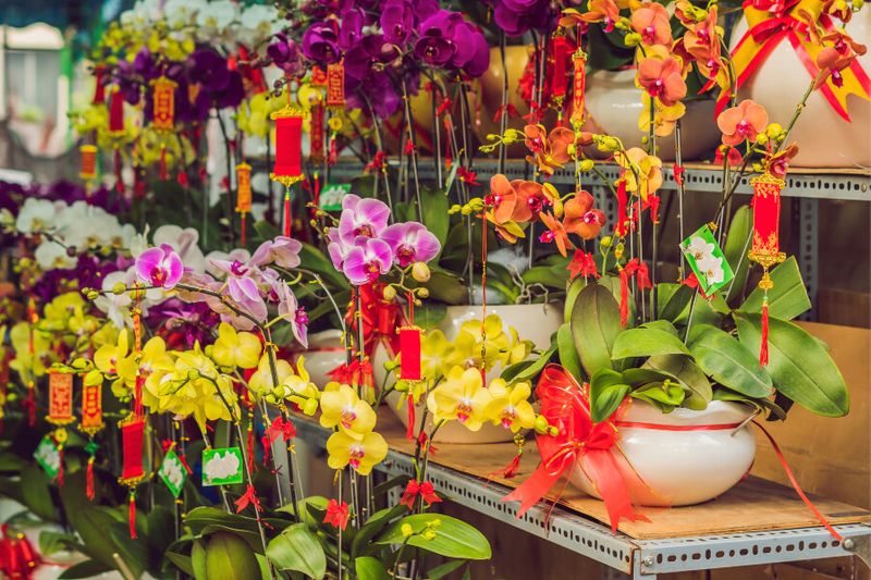 Variety of flowers and bonsai's for Tet or the Lunar New Year