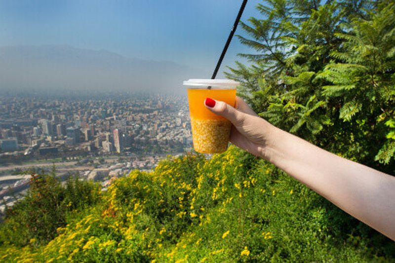 Chilean traditional refreshment called Mote Con Huesillos, a peach compote with wheat.