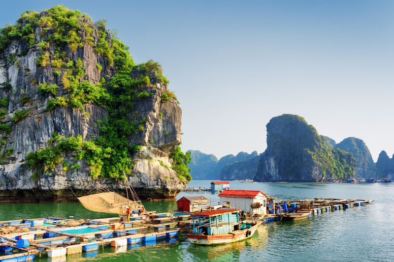 A floating fishing village in Halong Bay by the Karst Tower Isles.