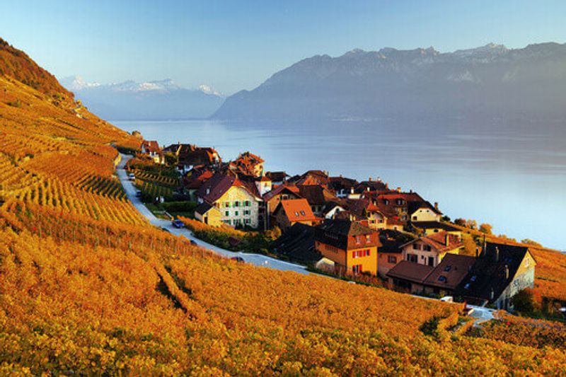 The vineyard terraces in the famous Lavaux Wine Region overlooking the northern shores of Lake Geneva in Switzerland.