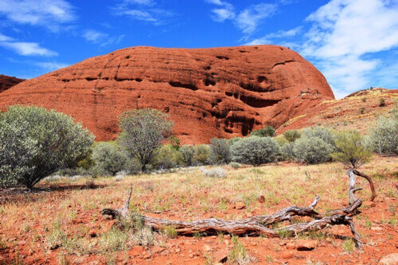 Mount Olgas located in the Uluru Kata-Tjuta National Park, Northern Territory.