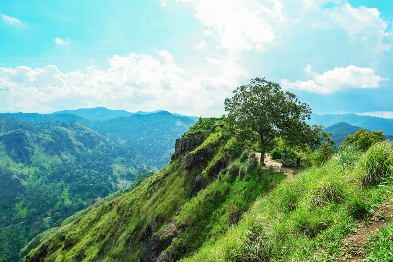 View from Little Adam's Peak in Ella.