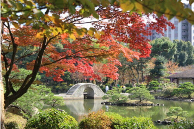 Shukkeien Garden in Hiroshima, Japan.