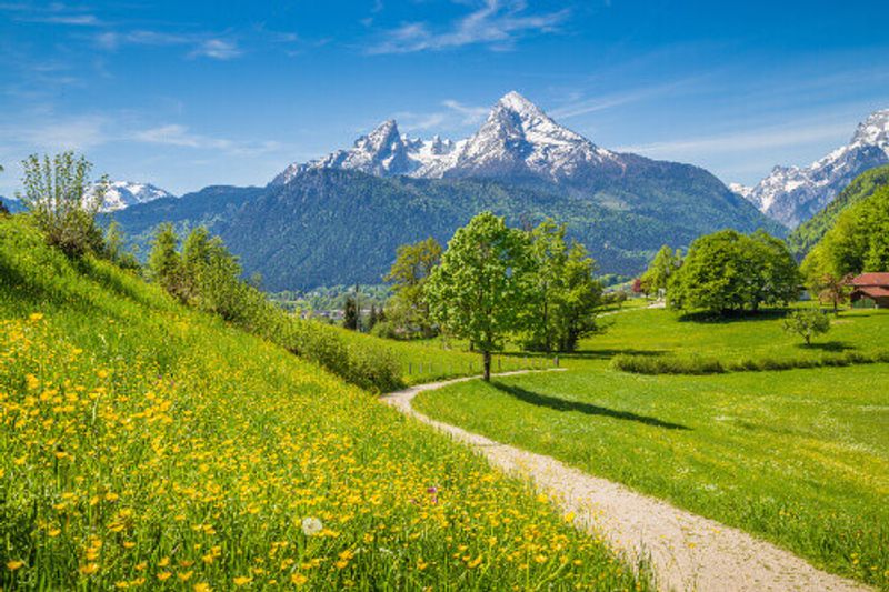 The Idyllic summer landscape in the Alps with fresh green mountain pastures in Bavaria.