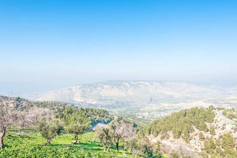 Yarmouk Forest Reserve in Yarmouk, Jordan.