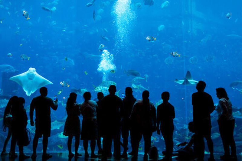 Visitors at the aquarium of Atlantis the Palm Lost Chambers.