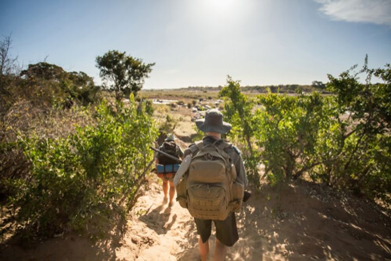 Visitors to Southern Africa embark on an adventurous bush walk.