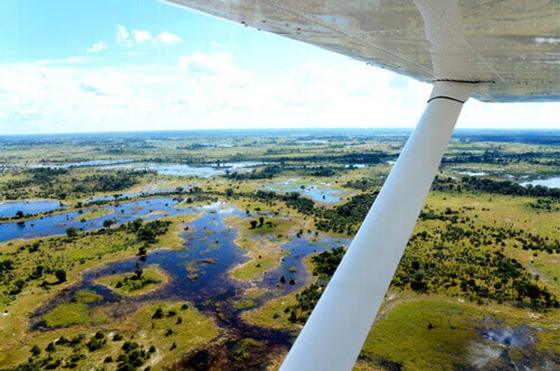 The view from an aircraft flying over the Okavango Delta.
