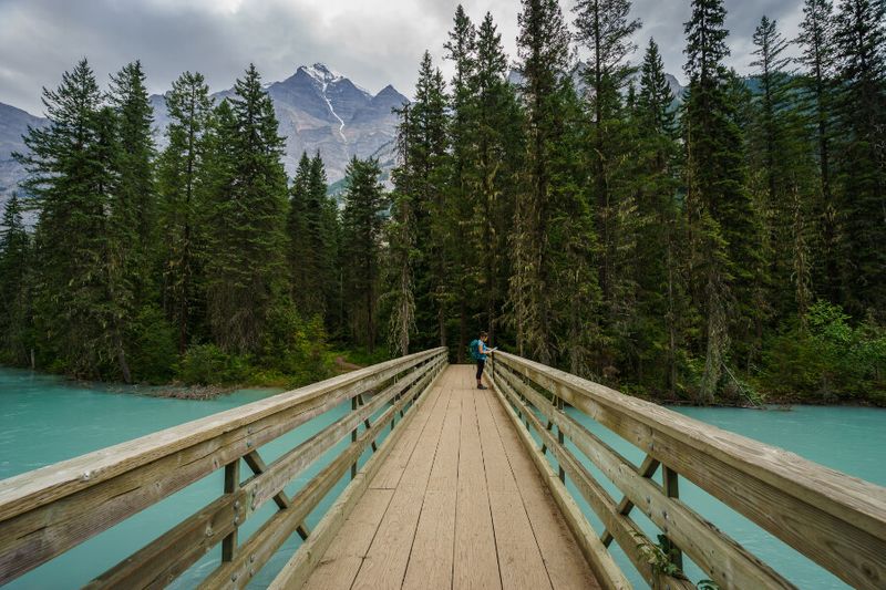 A young visitor walks along the footbridge along the Berg Lake Trail.