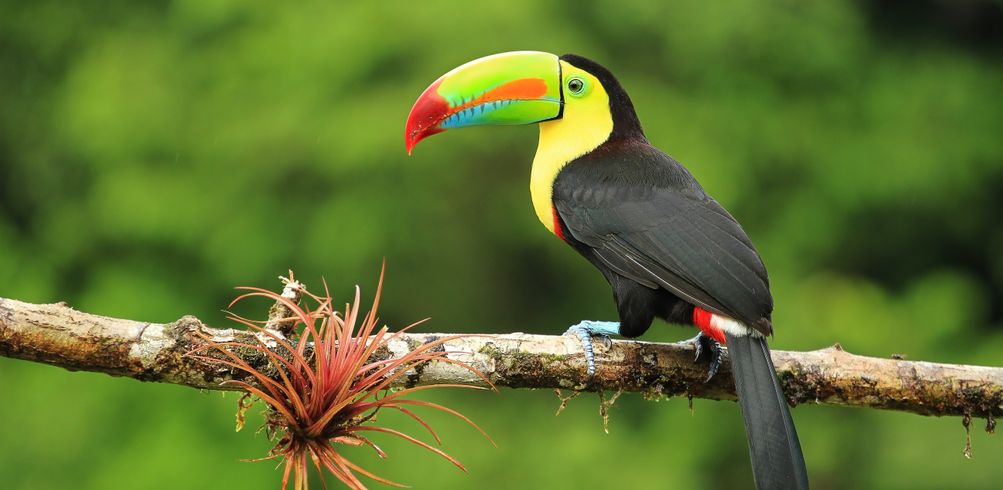 Costa Rica Tours - Inspiring Vacations