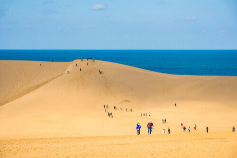 The Tottori sand dunes in Western Japan.