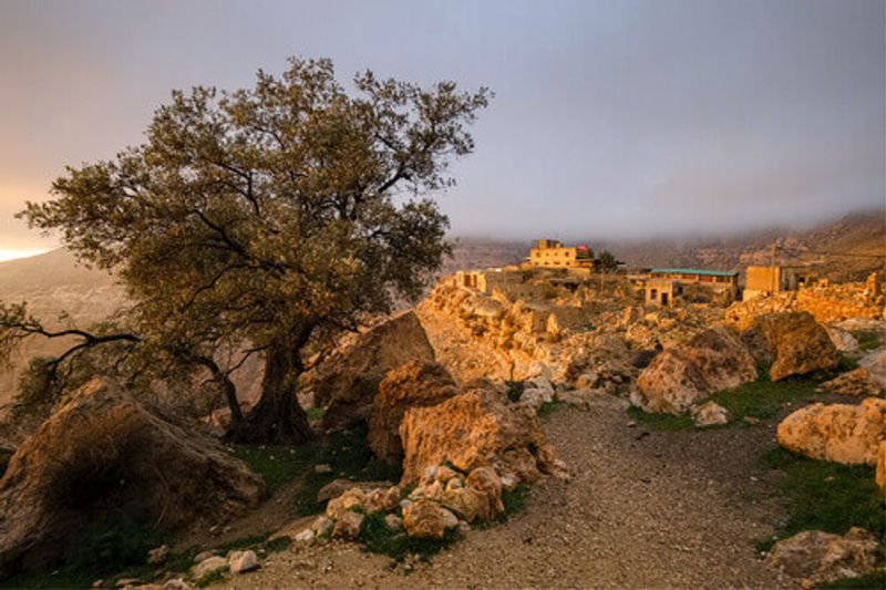 A landscape view of Dana Village.