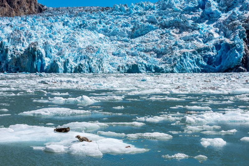 The Tracy Arm Fjord with the Sawyer Glacier.