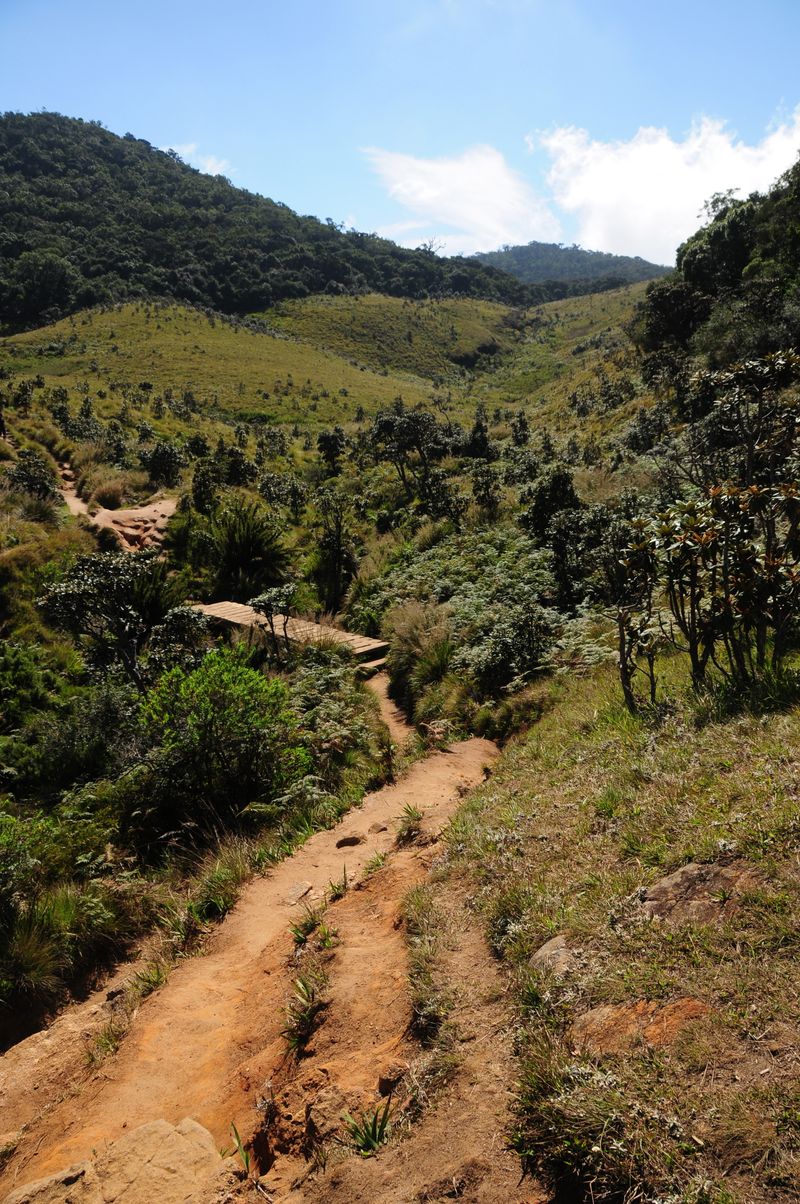 Horton Plains National Park offers plenty of trekking opportunities